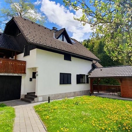 Apartment Alpska Astra ครานสกา โกรา ภายนอก รูปภาพ