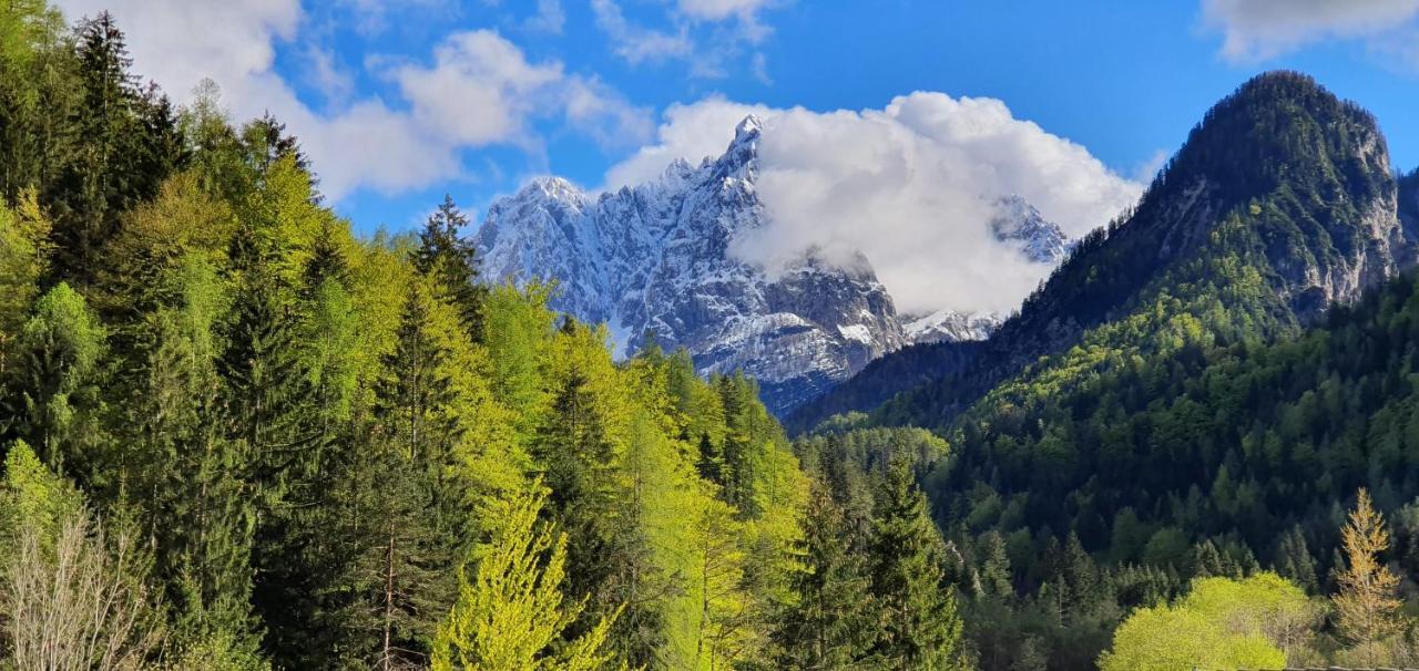 Apartment Alpska Astra ครานสกา โกรา ภายนอก รูปภาพ