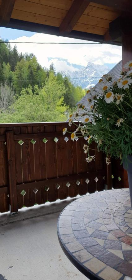 Apartment Alpska Astra ครานสกา โกรา ภายนอก รูปภาพ